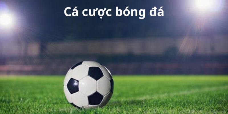 cá cược bóng đá