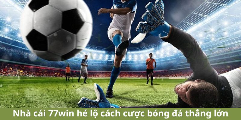 Nhà cái 77win hé lộ cách cược bóng đá thắng lớn